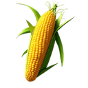 Frutos Secos y Semillas