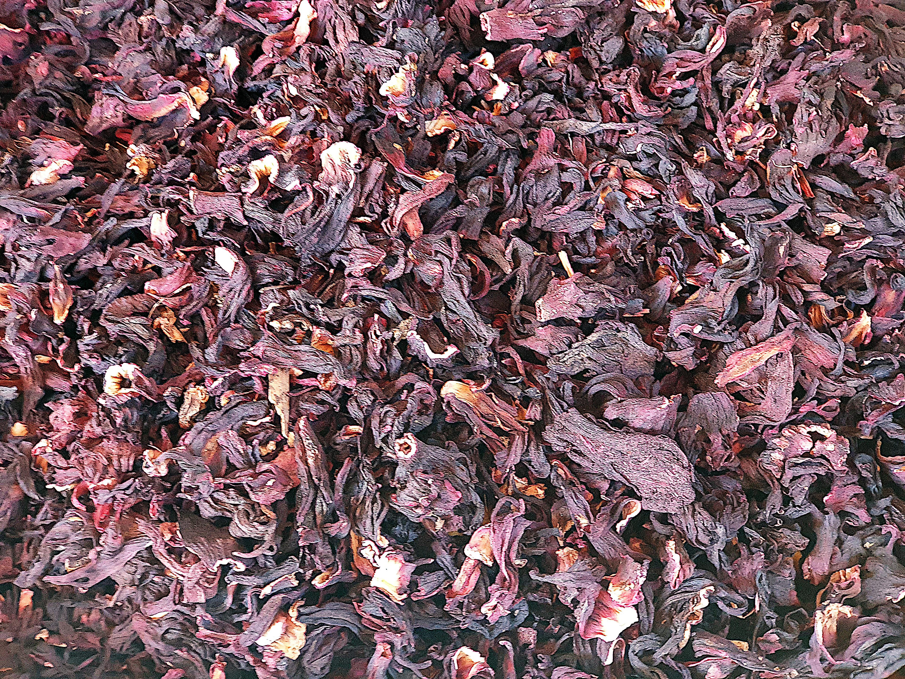 Dried Hibiscus (public domain)