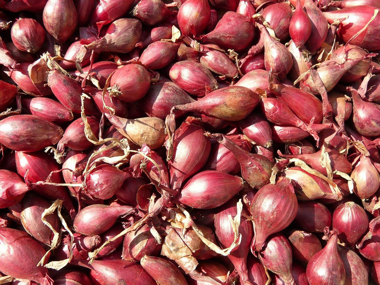 Red shallots (public domain)