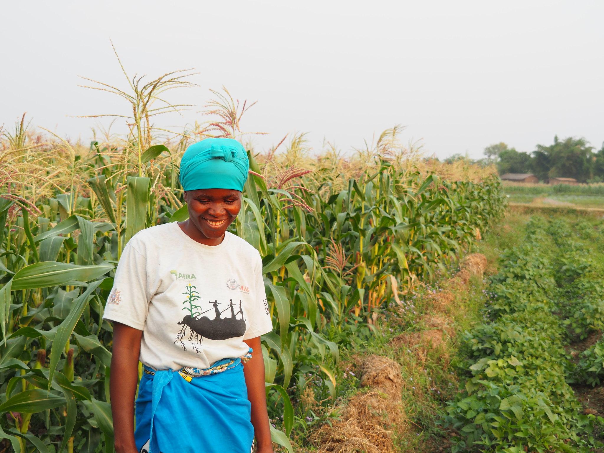 une agricultrices dans un champ de maïs (Crédit : sicrump / CC BY 2.0 DEED Attribution 2.0 Generic)