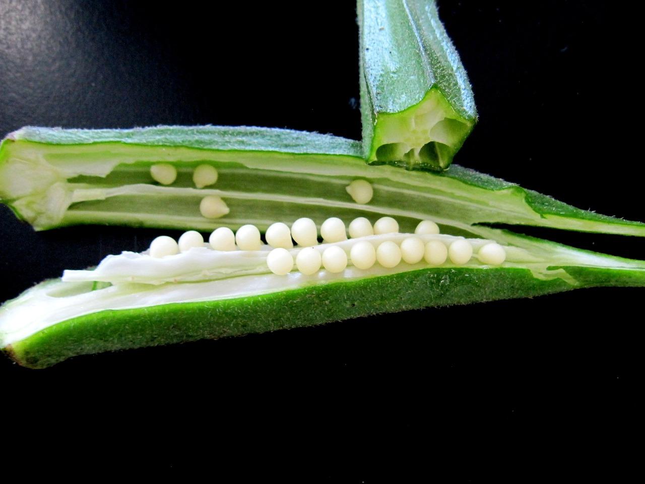 Cut okra (public domain)