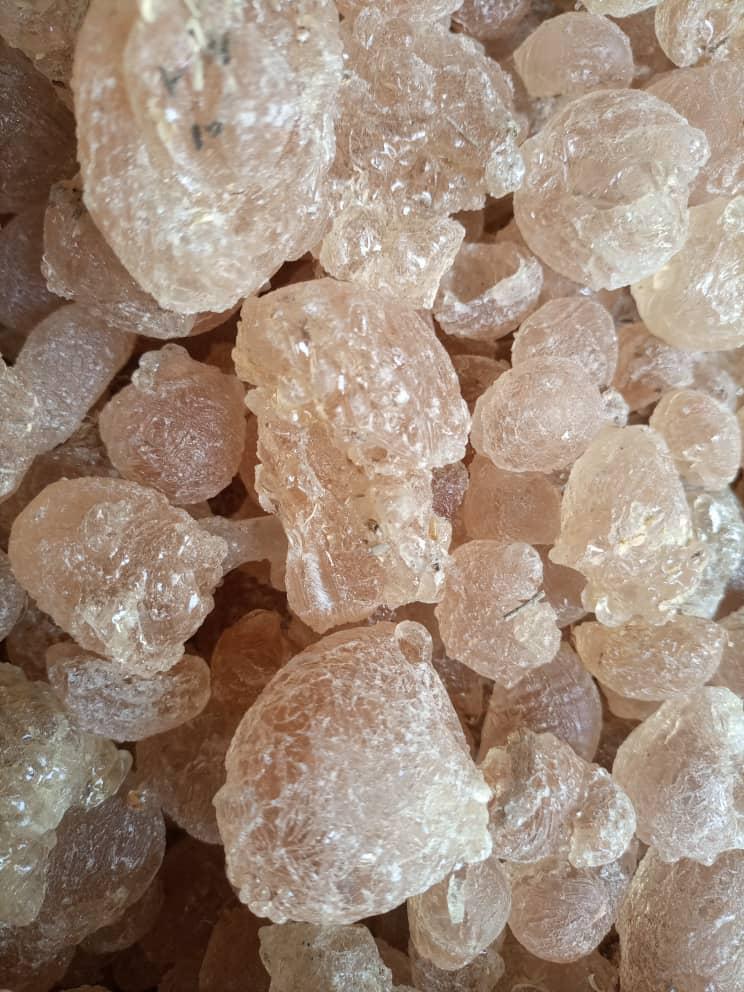 First grade gum arabic (Sahel Agri-Sol / public domain)