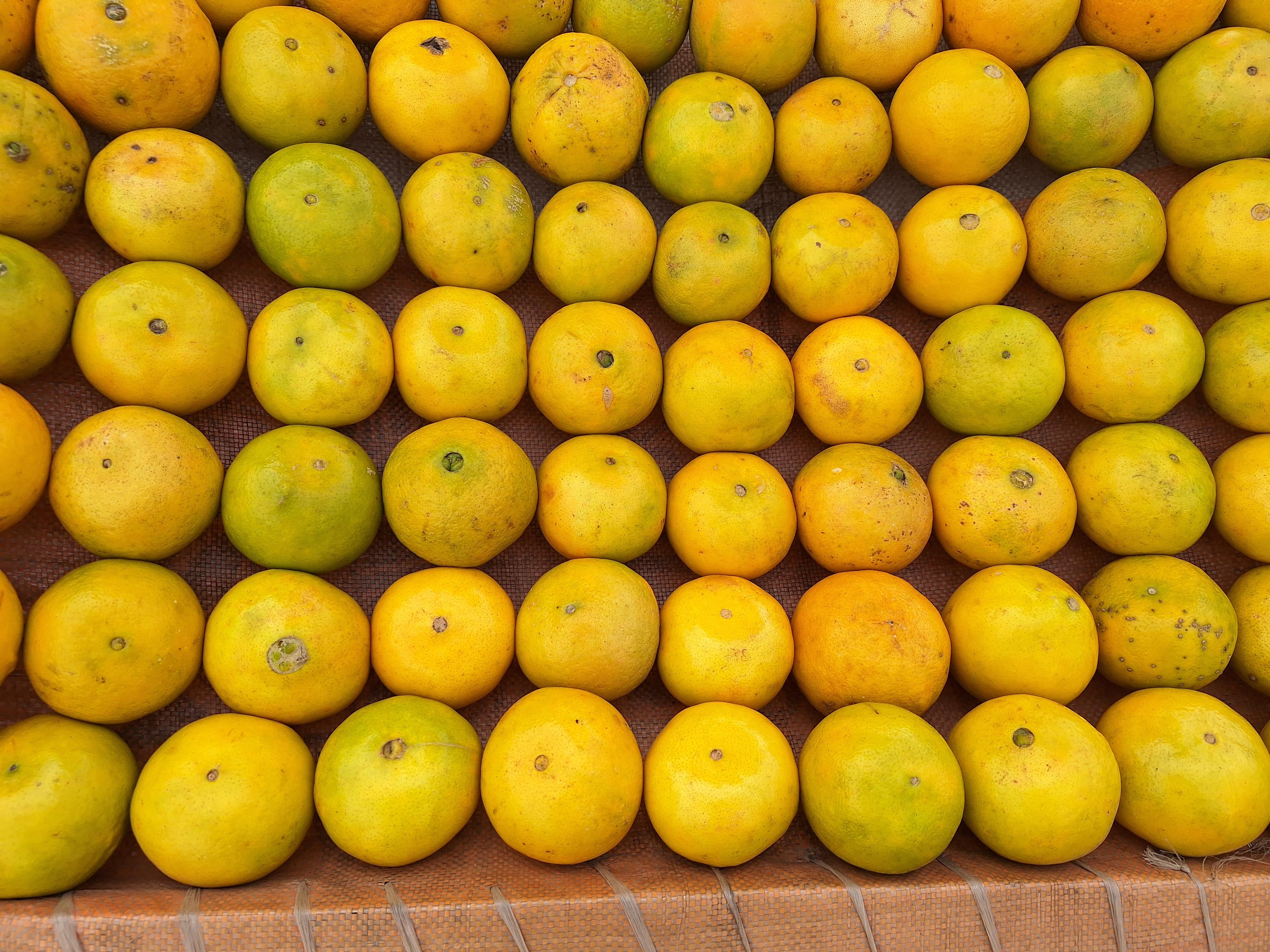 Orange fraîche (Sahel Agri-Sol / domaine public)