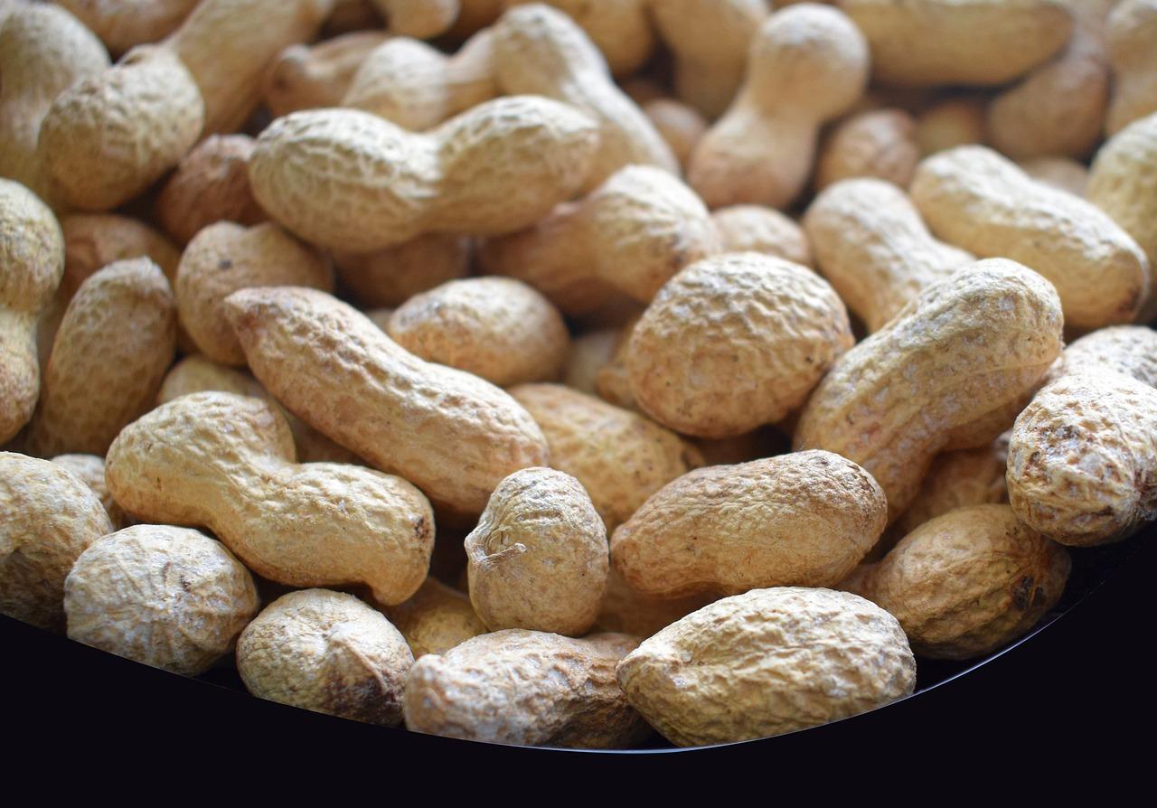 Raw Peanuts (public domain)