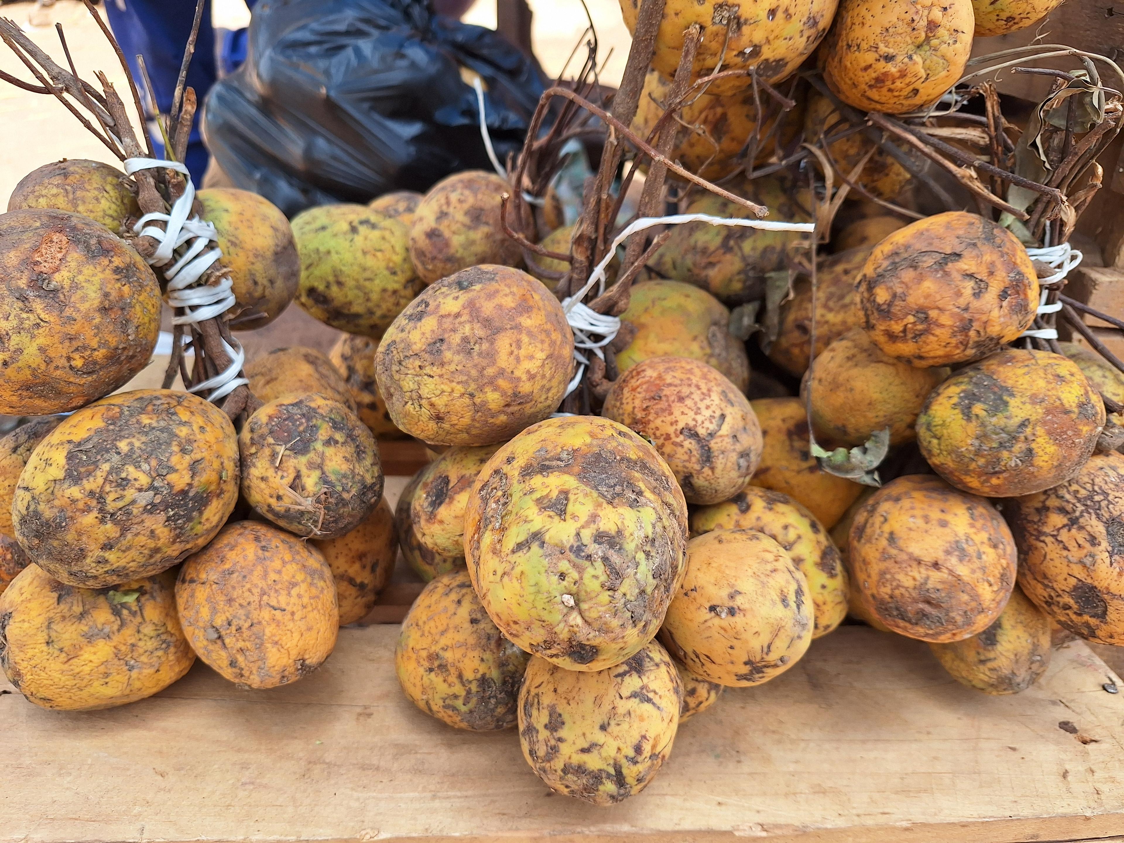 Fruta de Saba (Sahel Agri-Sol / dominio público)