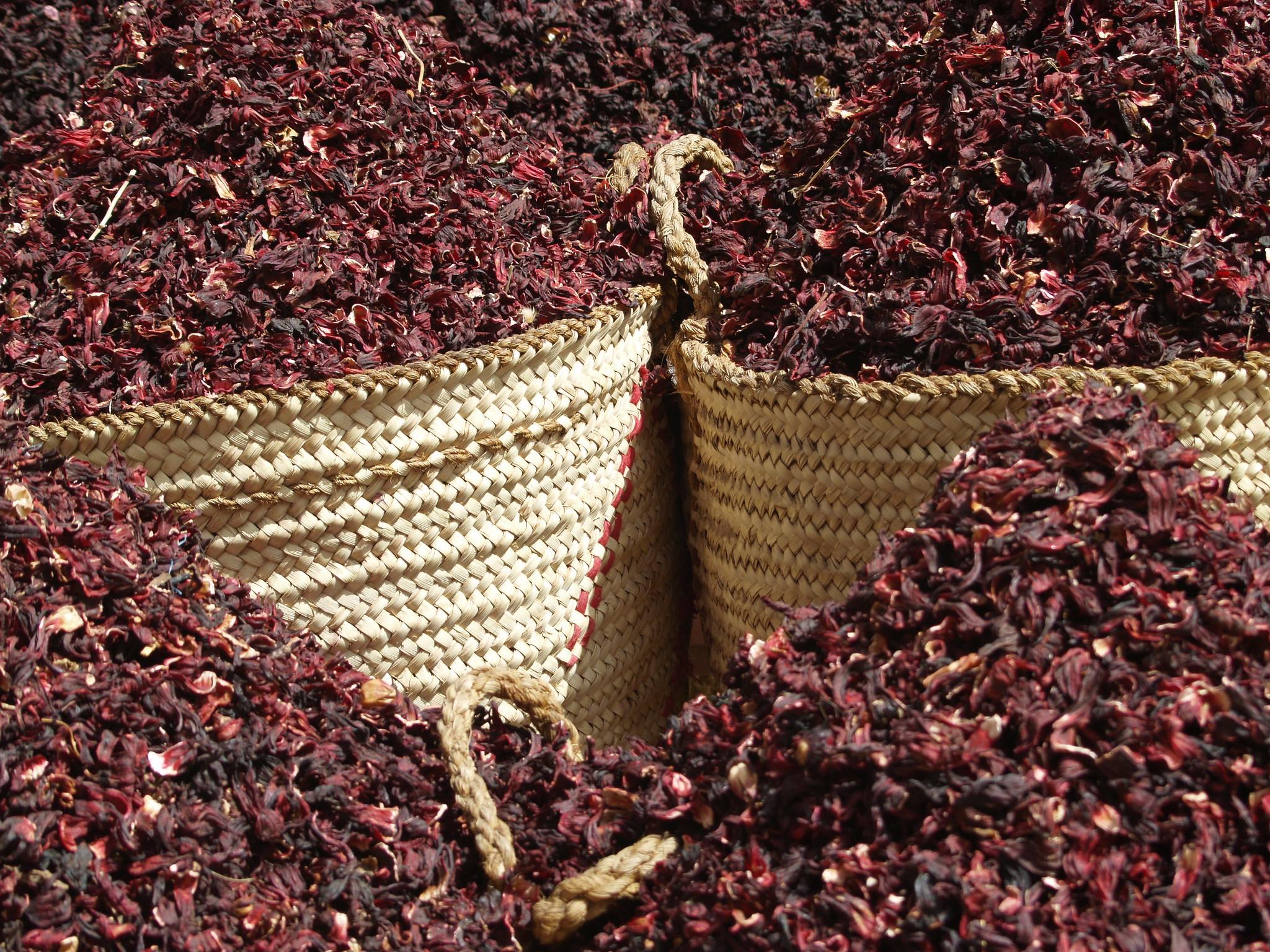 Dried Hibiscus (Revolution_Ferg / Flickr CC BY 2.0 DEED Attribution 2.0 Generic)