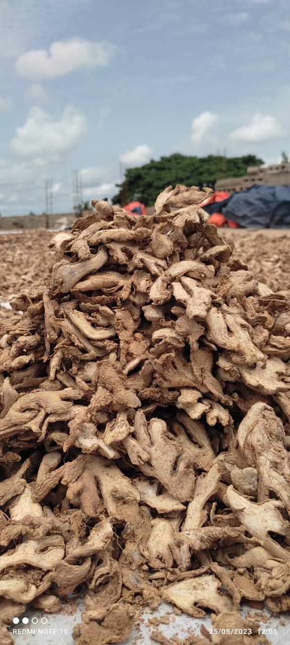 Dried Ginger (Sahel Agri-Sol / public domain)