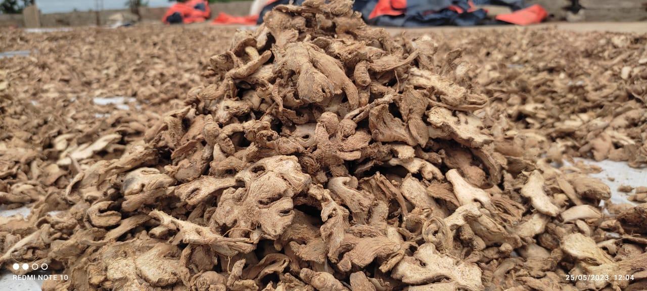 Dried Ginger (Sahel Agri-Sol / public domain)