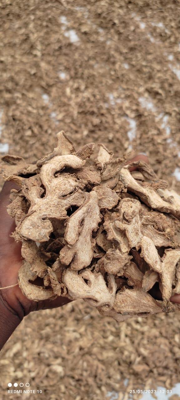 Dried Ginger (Sahel Agri-Sol / public domain)