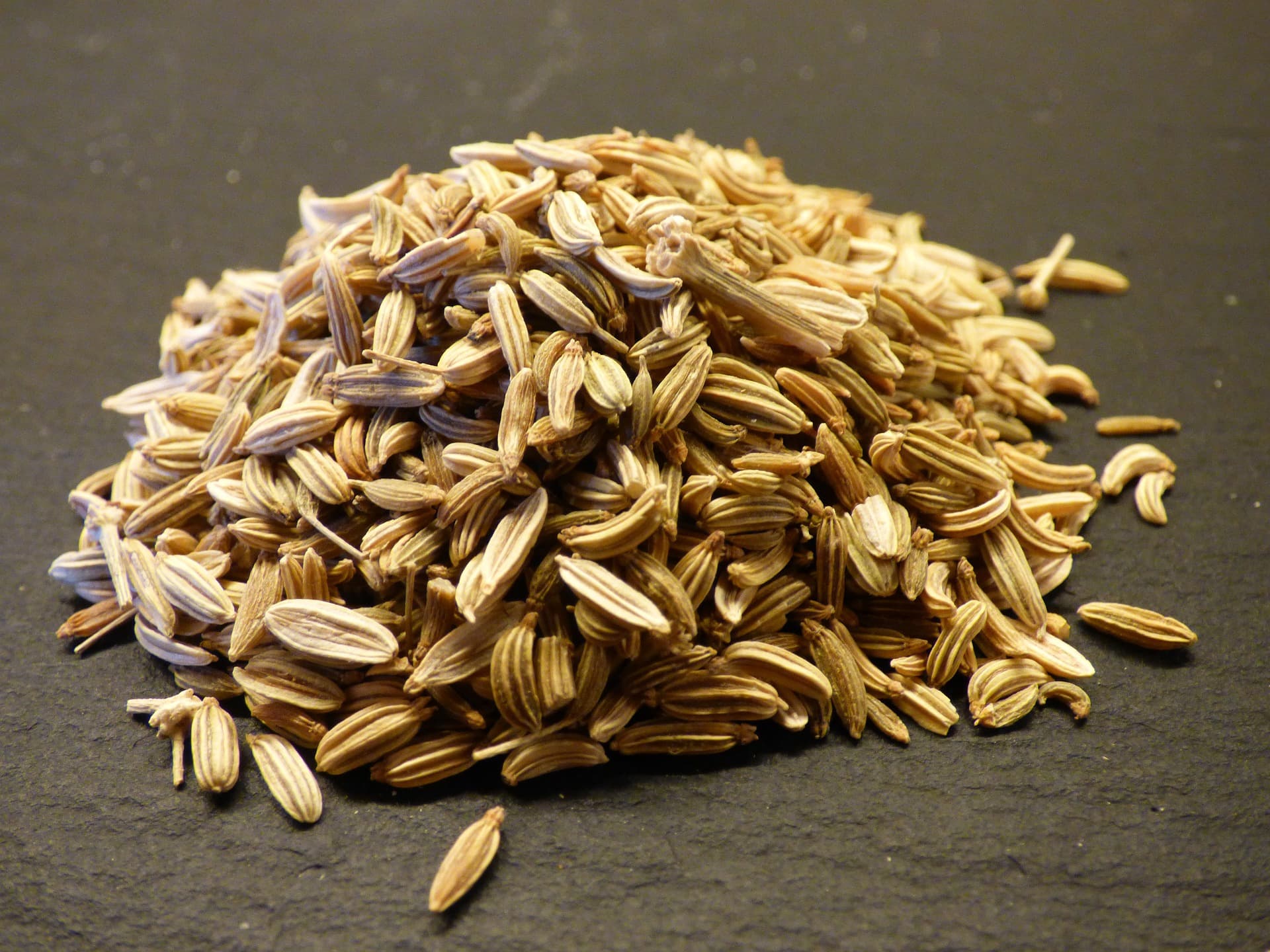 Grains de fenouil (domaine public)