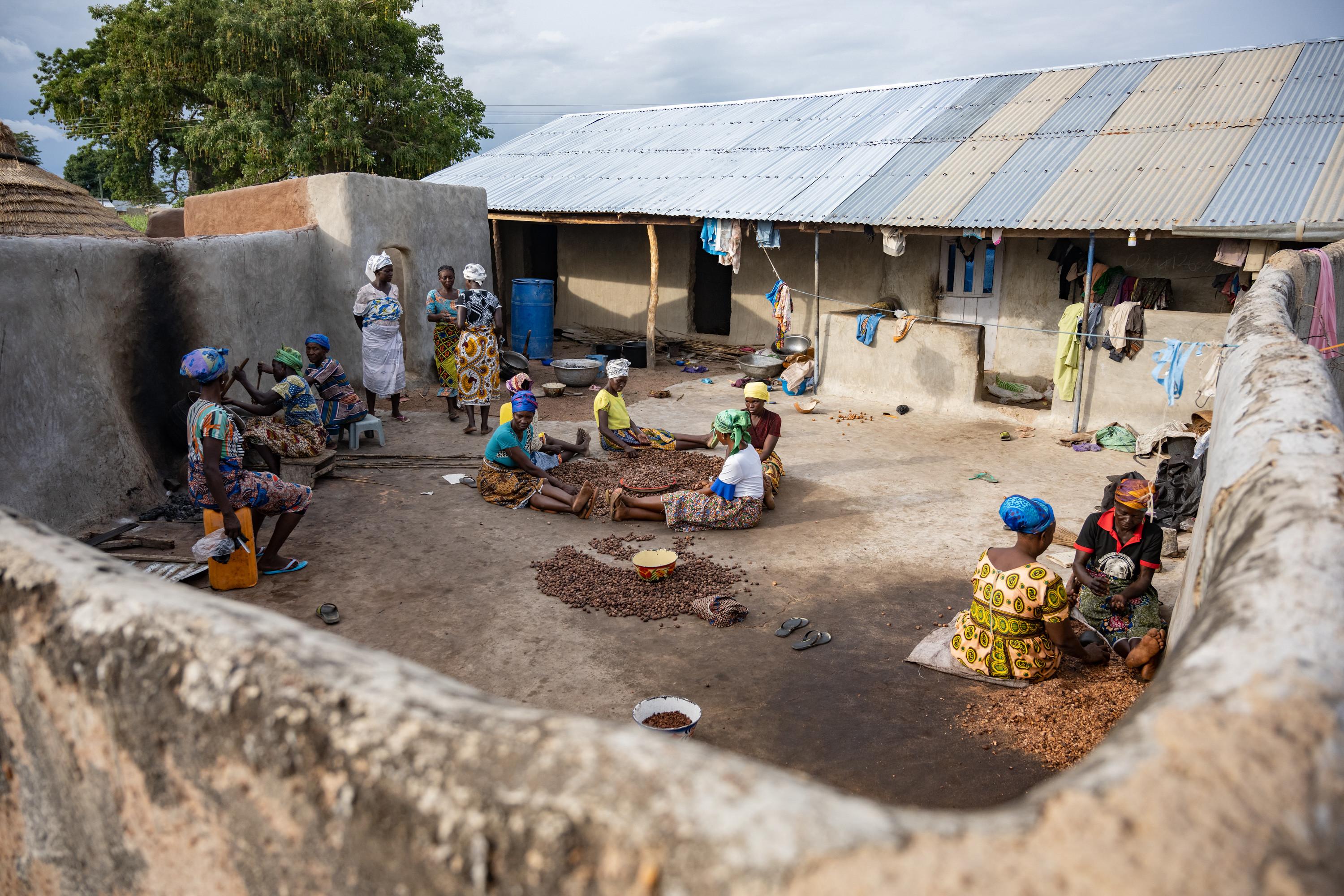 Foto de ilustración: Regreening Africa está restaurando ecosistemas en 8 países y mejorando la resiliencia de 500,000 hogares en toda África subsahariana. El objetivo de Regreening Africa en Ghana es crear un enfoque sostenido para revertir la degradación de la tierra e integrar la producción de alimentos a través de la agroforestería (créditos: Kelvin Trautman / CIFOR-ICRAF / Flickr CC BY-NC-ND 2.0).