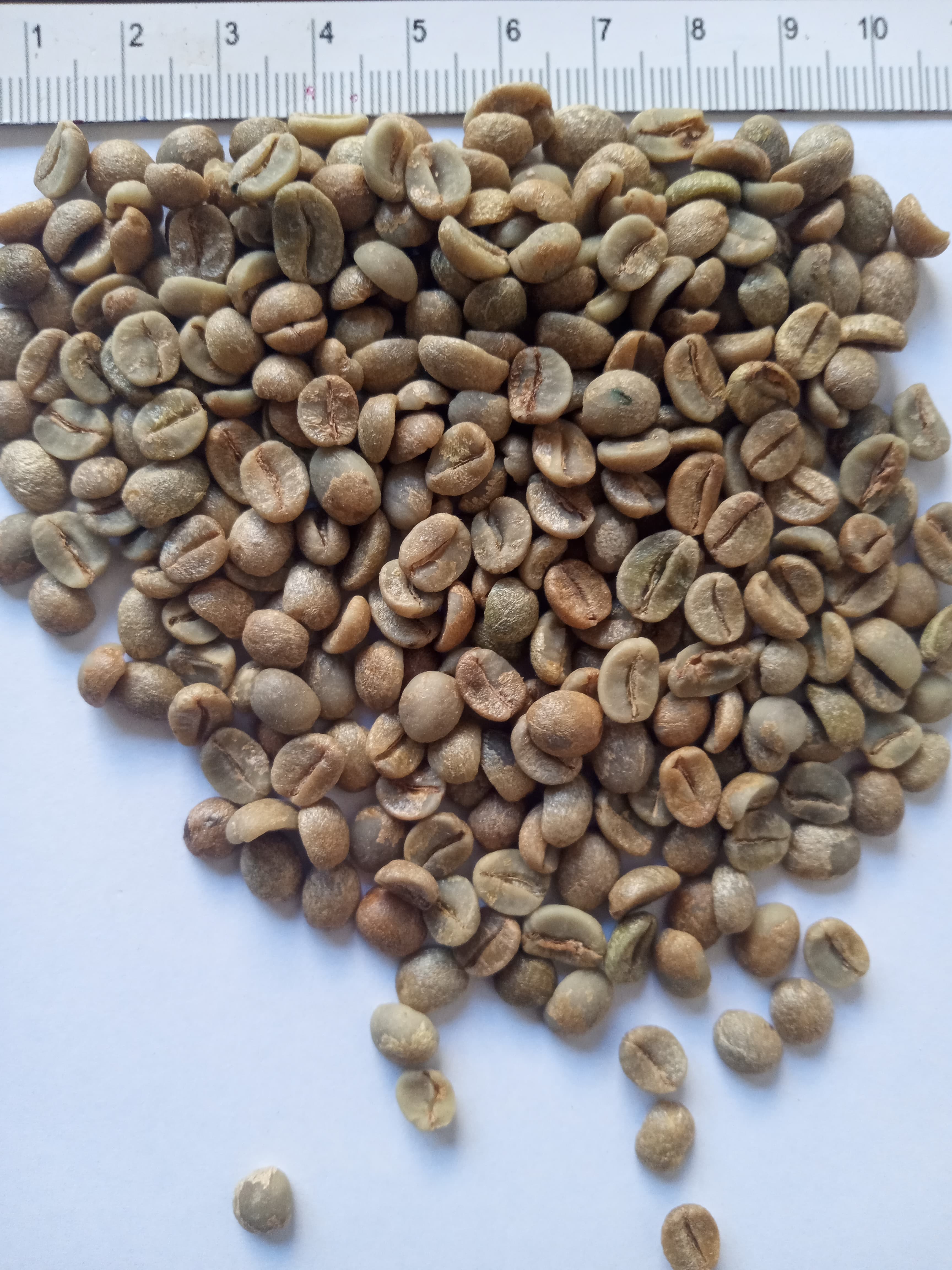 Brazilian Arabica 77-90 p (Sahel Agri-Sol / public domain)