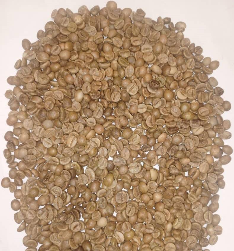 Grains de café arabica (Sahel Agri-Sol / Public domain)