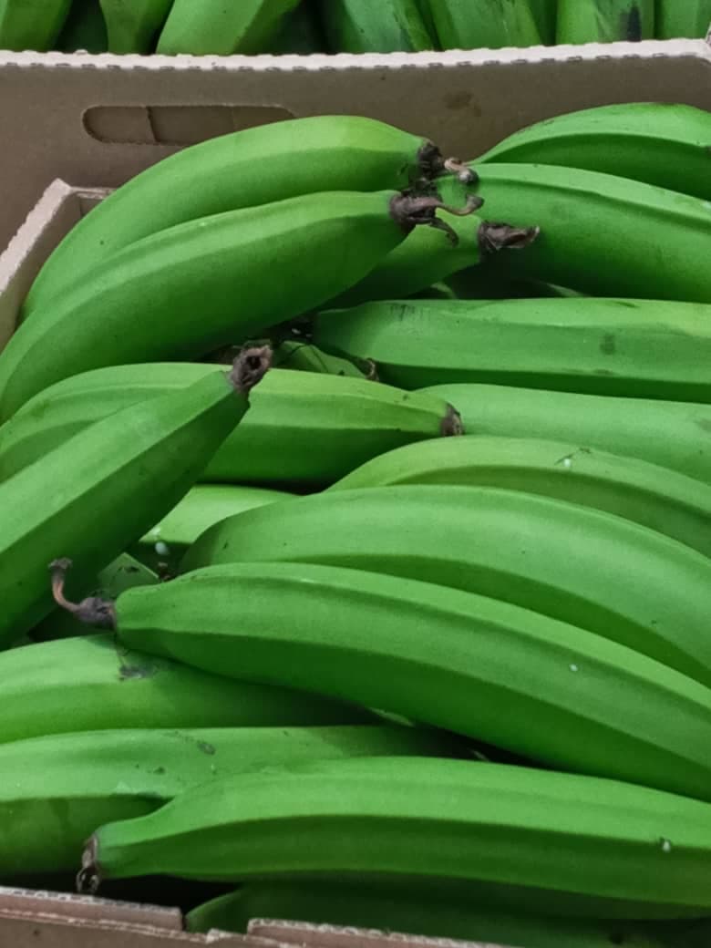 Zielone Banany (Sahel Agri-Sol / domena publiczna)