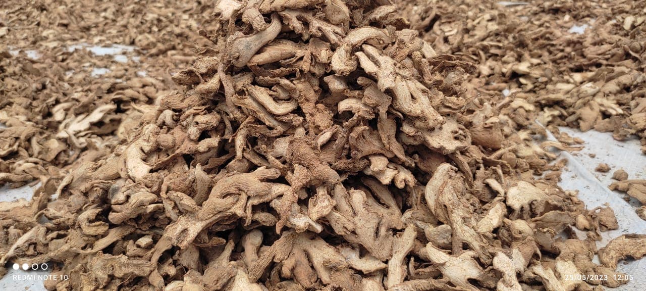 Dried ginger (credit: Sahel Agri-Sol / Public domain)