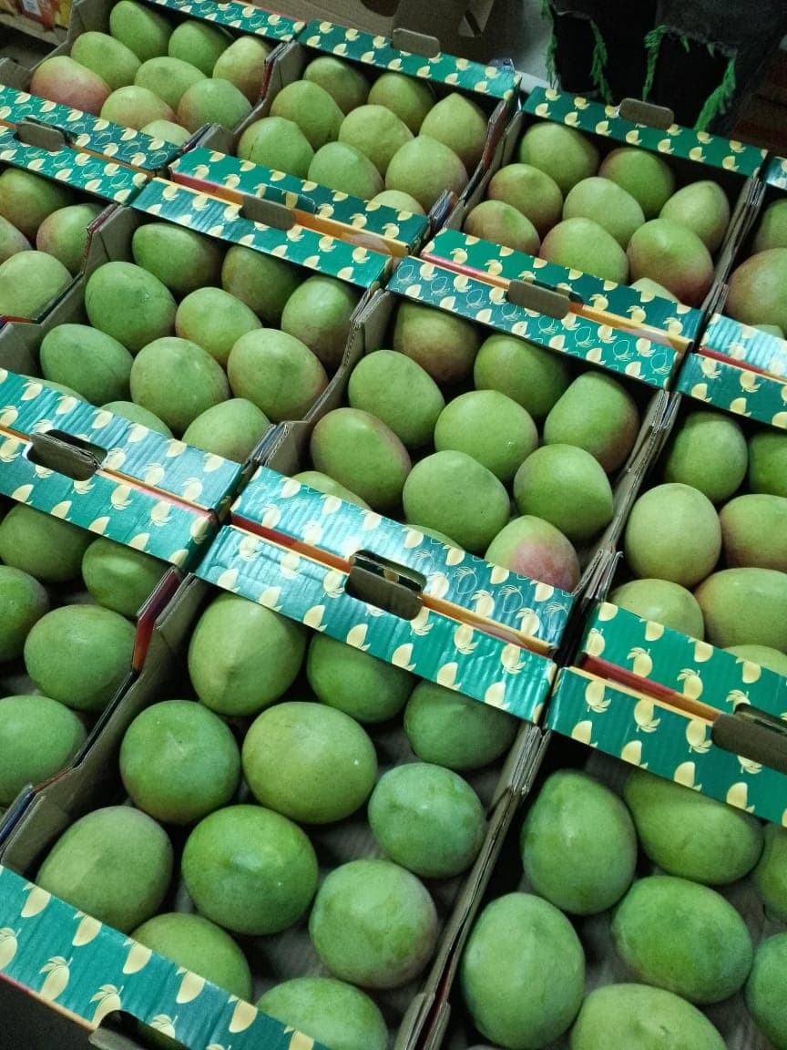 Fresh mangoes ready for shipping by air cargo (credit: Sahel Agri-Sol / Public Domain)