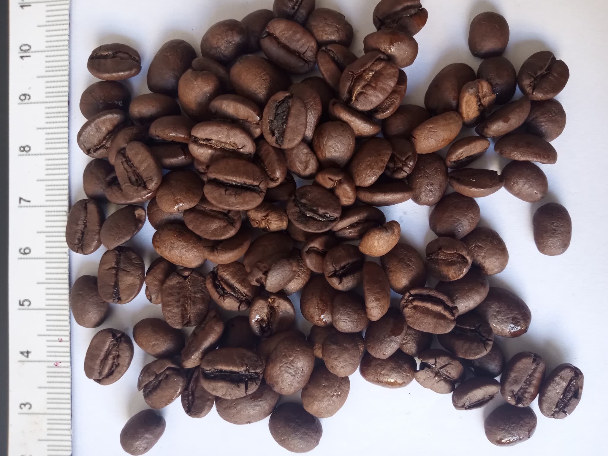 Brazilian Arabica Good Cup, screen 1318, 77-82 points, Middle roasted (Sahel Agri-Sol / public domain)