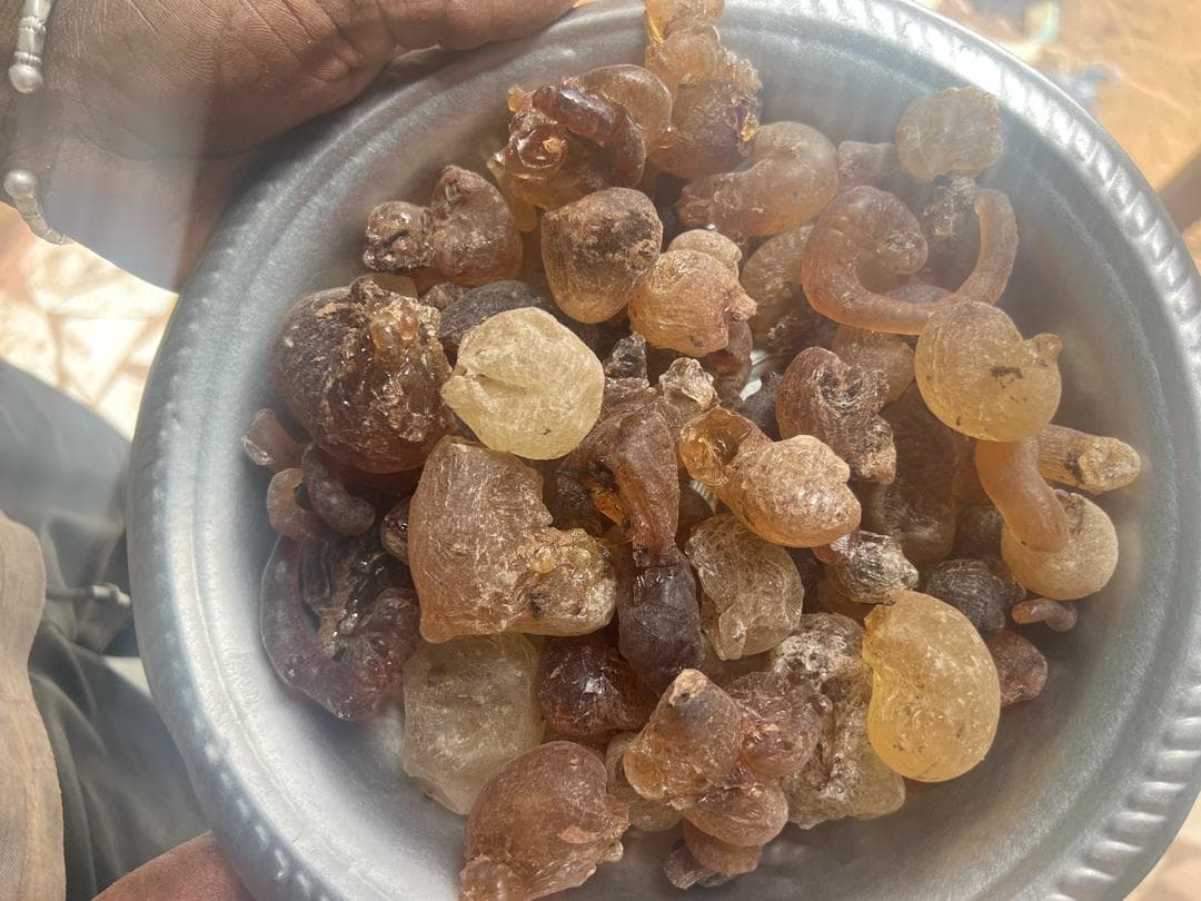 Gum Arabic - Industrial grade (Sahel-Agrisol / public domain)