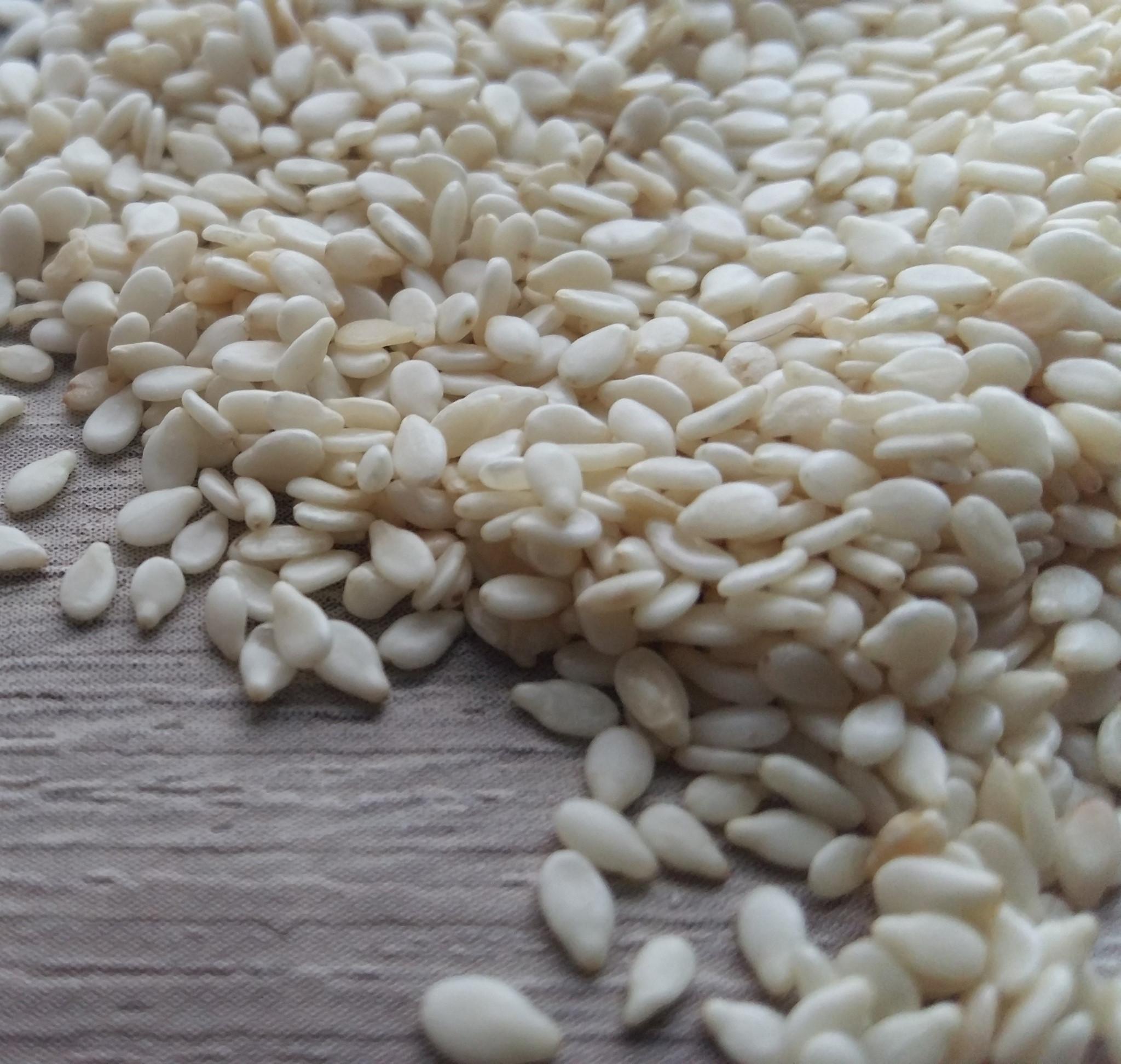 White sesame seeds (credit: Pixabay / Public domain )