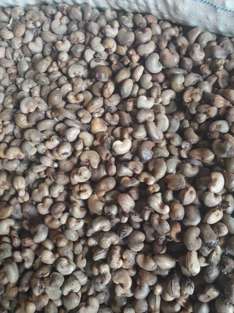 Kacang Mete Mentah (Sahel Agri-Sol / Adalidda / domain publik)