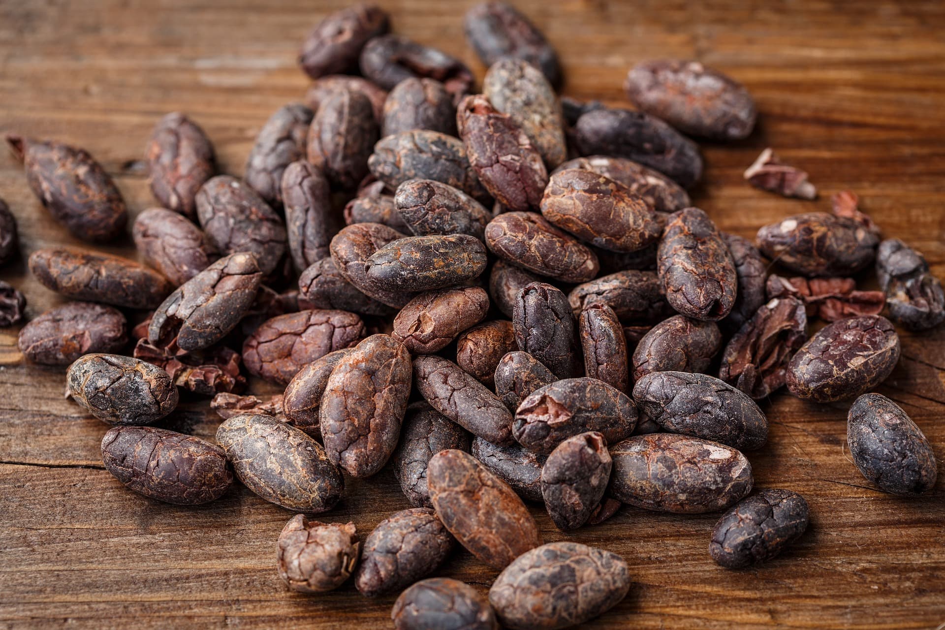 Cocoa Bean ( Pixabay / public domain)