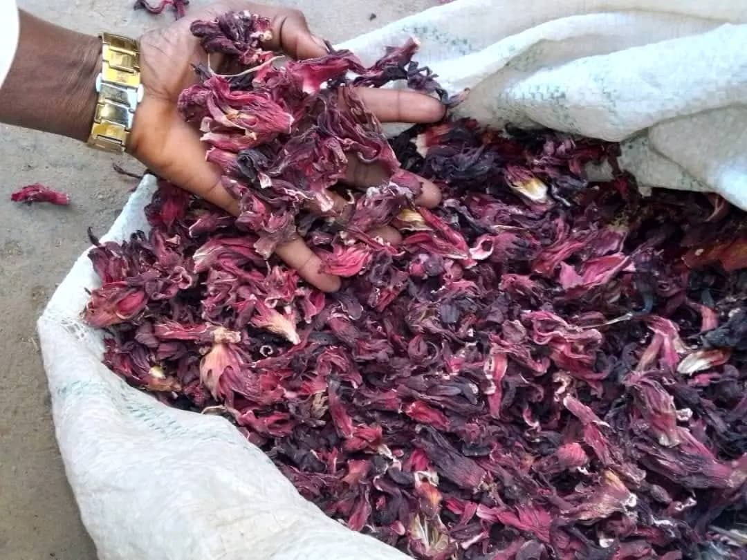 Dried Hibiscus (Sahel Agri-Sol / Adalidda / public domain)