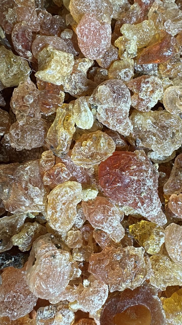 صمغ كارايا بدرجة الغذاء (Sahel Agri-Sol / Adalidda / المجال العام)