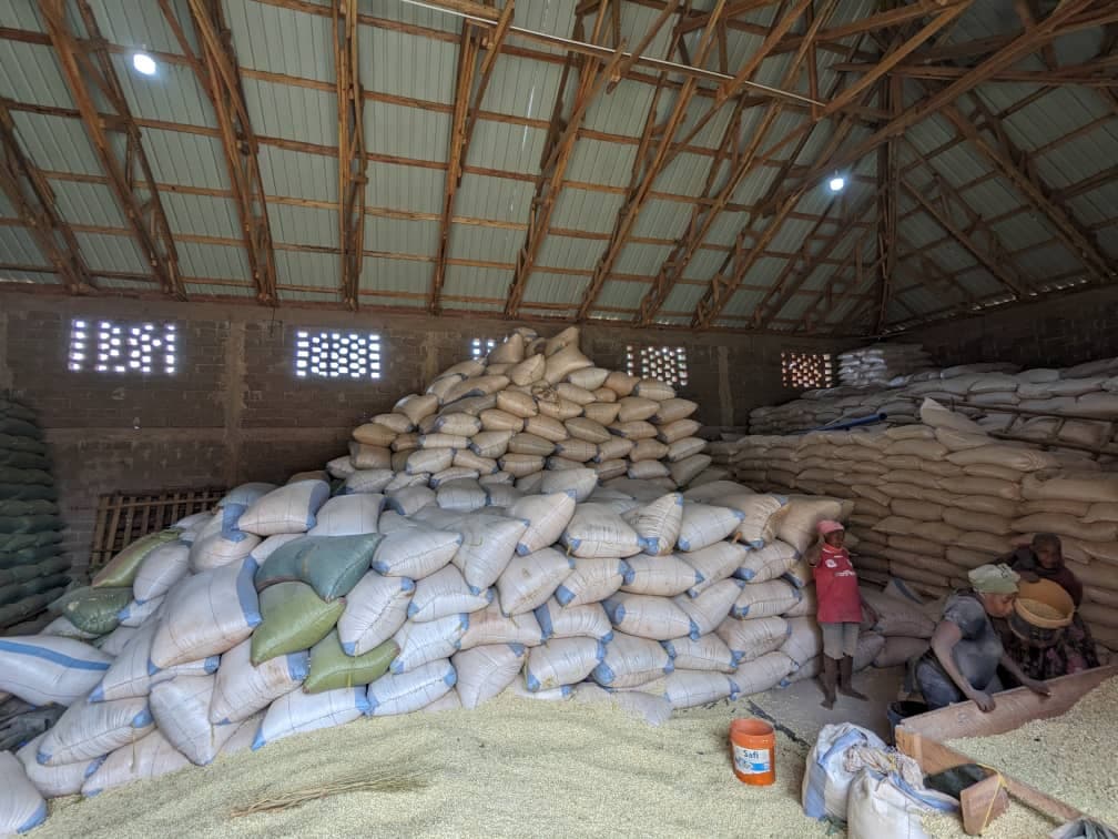 Maize warehouse in Tanzania (Sahel Agri-Sol / public domain)