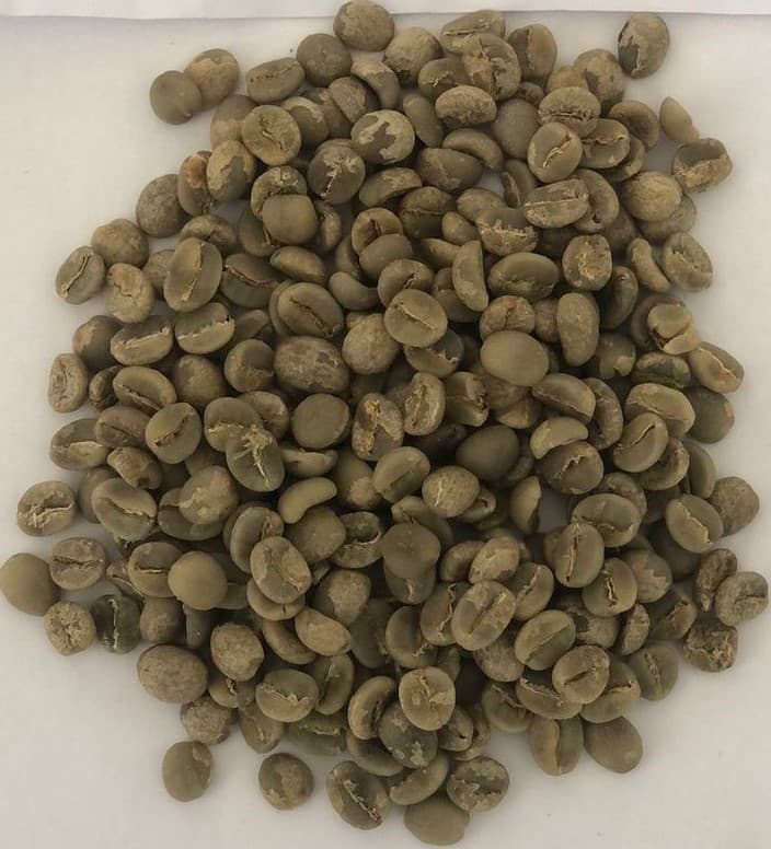 Robusta-Kaffee (Sahel Agri-Sol / Adalidda / Öffentliche Domäne)