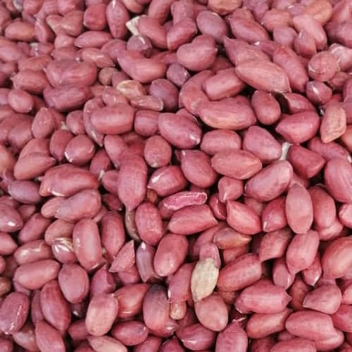 Arachidi Premium di Sahel Agri-Sol: Qualità e Sostenibilità
