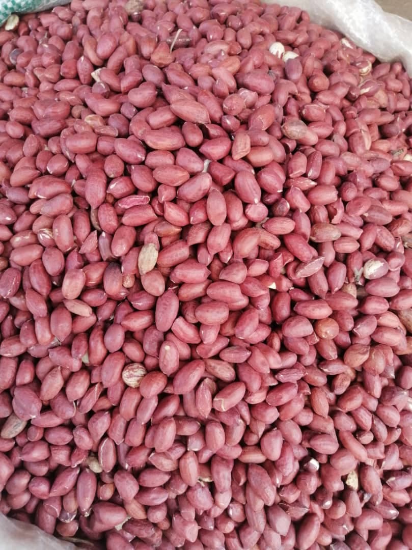 Red Peanuts (Sahel Agri-Sol / Adalidda / Public Domain)