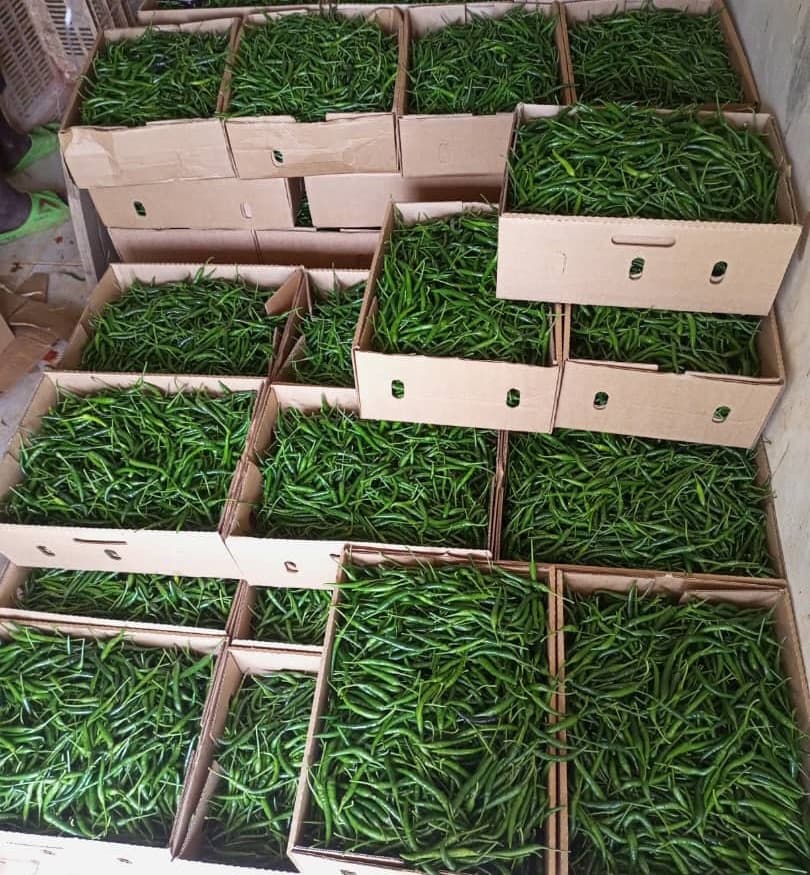 ताज़ी हरी मिर्च (Sahel Agri-Sol / Adalidda / सार्वजनिक डोमेन)