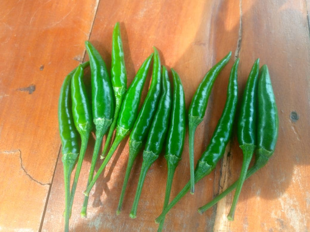 ताज़ी हरी मिर्च (Sahel Agri-Sol / Adalidda / सार्वजनिक डोमेन)