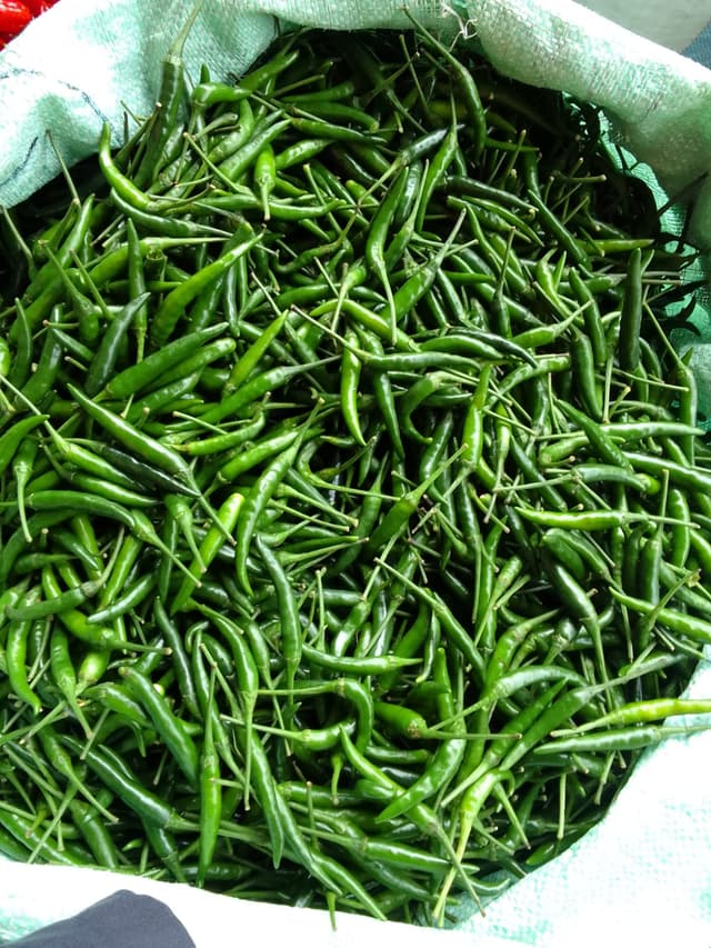 Frische Grüne Chilis: Geschmack, Gesundheit & Nachhaltigkeit