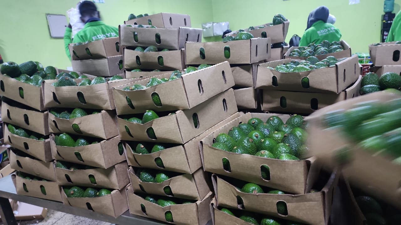 아보카도 포장 (크레딧: Adalidda / Sahel Agri-Sol / 퍼블릭 도메인)