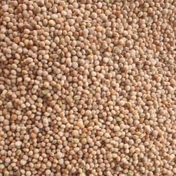 حبوب البازلاء الهندية الفاخرة من Sahel Agri-Sol