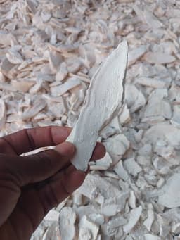 나이지리아 프리미엄 건조 카사바칩 | 윤리적 조달 고성능 원료 공급